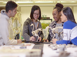 A group of 4 international students in biology class with chicken skeleton models