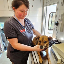 Sinclair Community College Veterinary Technology Students and Faculty Host Vaccination Clinic
