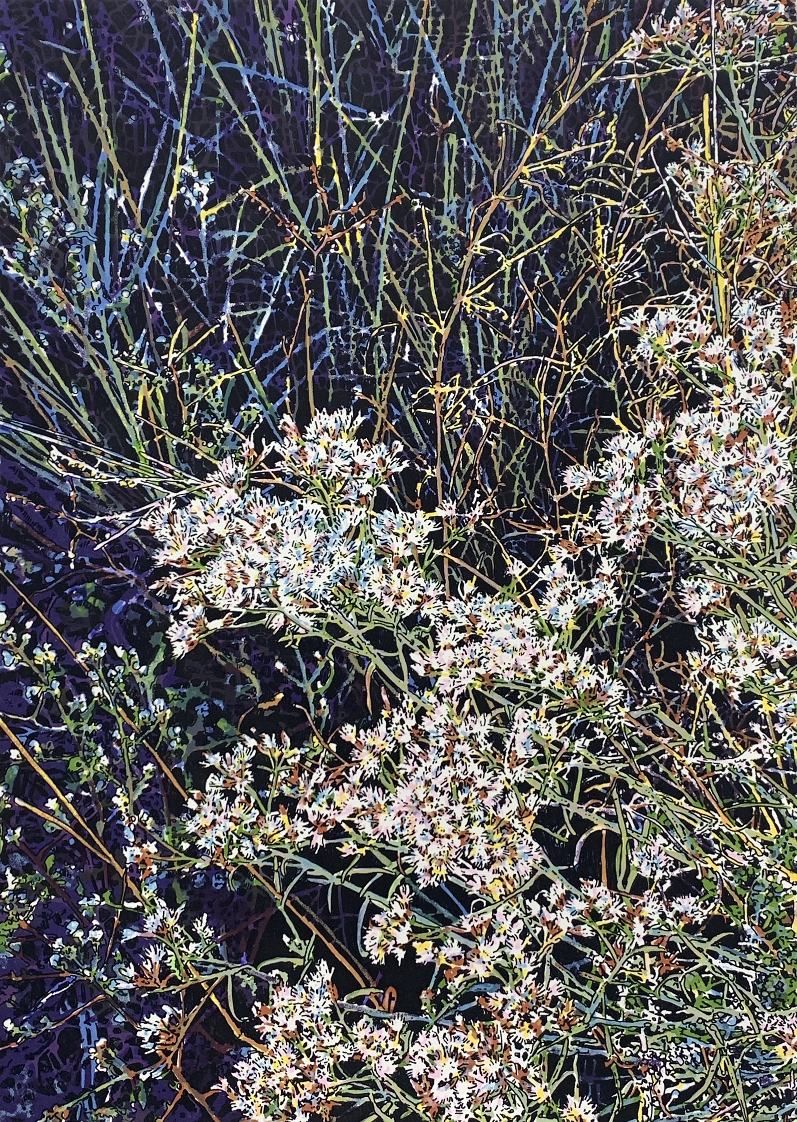 ???????Kathy McGhee, "Dwarf Blue Rabbitbrush," 2025 Silkscreen Print, 13 x 9 in. 