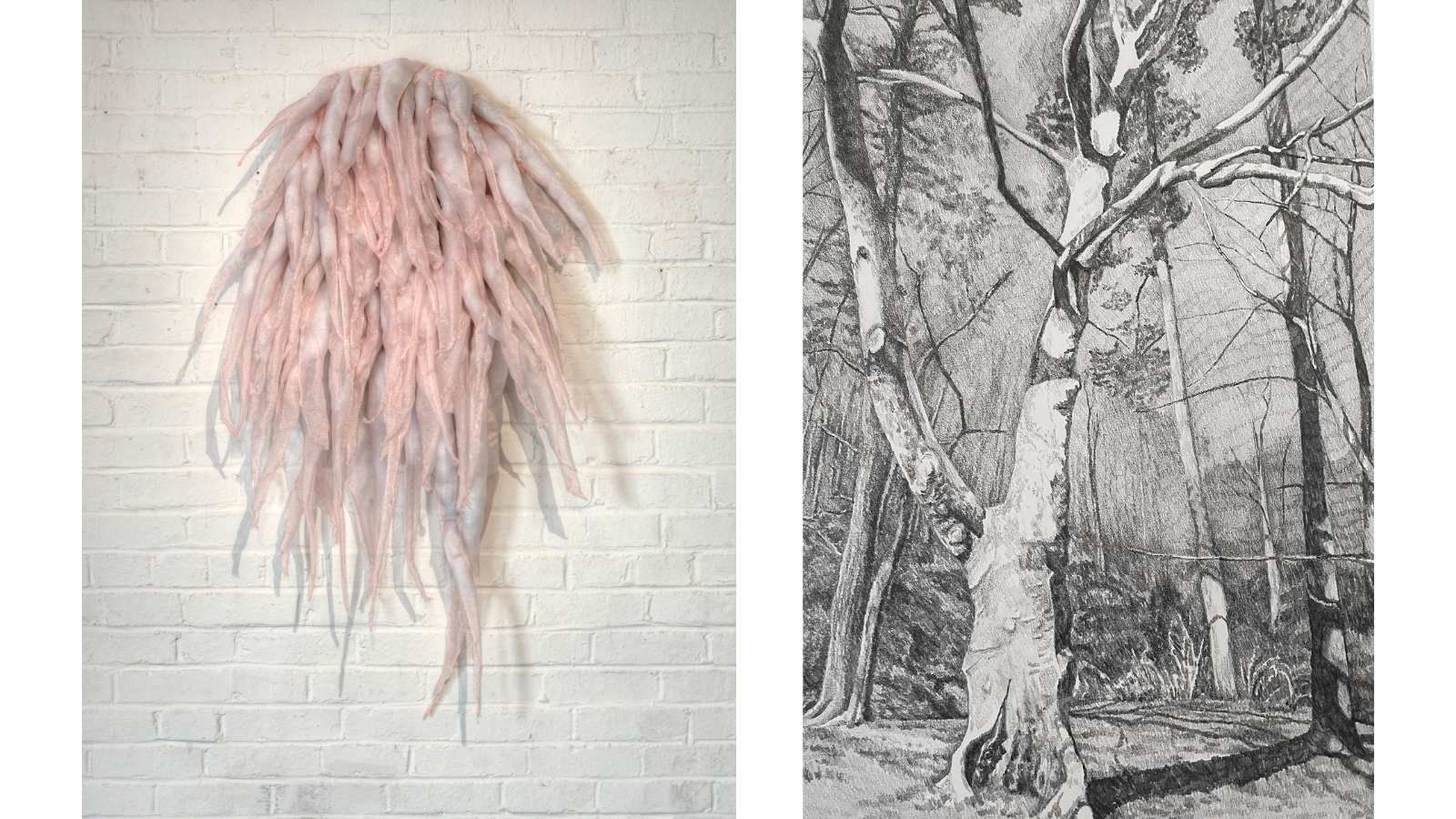 Jayne Struble, "Hollow," 2024, Graphite on Paper, 20 x 14 in. (middle) Liz Quay, "Exposed Nerves," 2024, Polyester organza, poly-fil, thread, wire, & tulle, 48 x 22 x 10 in. (right)