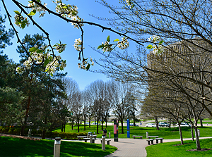 The green landscape of Sinclair downtown Dayton campus