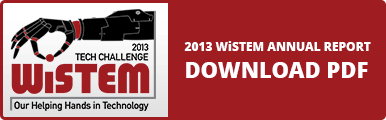 2013 WiSTEM Report Button