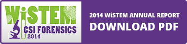 WiSTEM 2014 Report Button