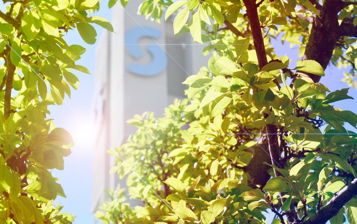 Sinclair's Dayton Campus Tower Looking Through Tree Leaves in Spring