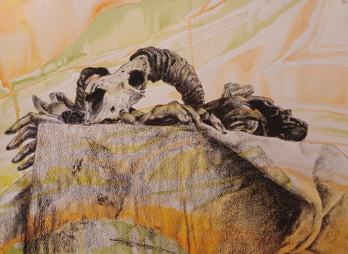 A black and white still life of a skull and other bones on top of a cloth-covered table where the top is at eye-level. The background of the drawing has a free-flowing marble-like pattern of light green, orange, and yellow.