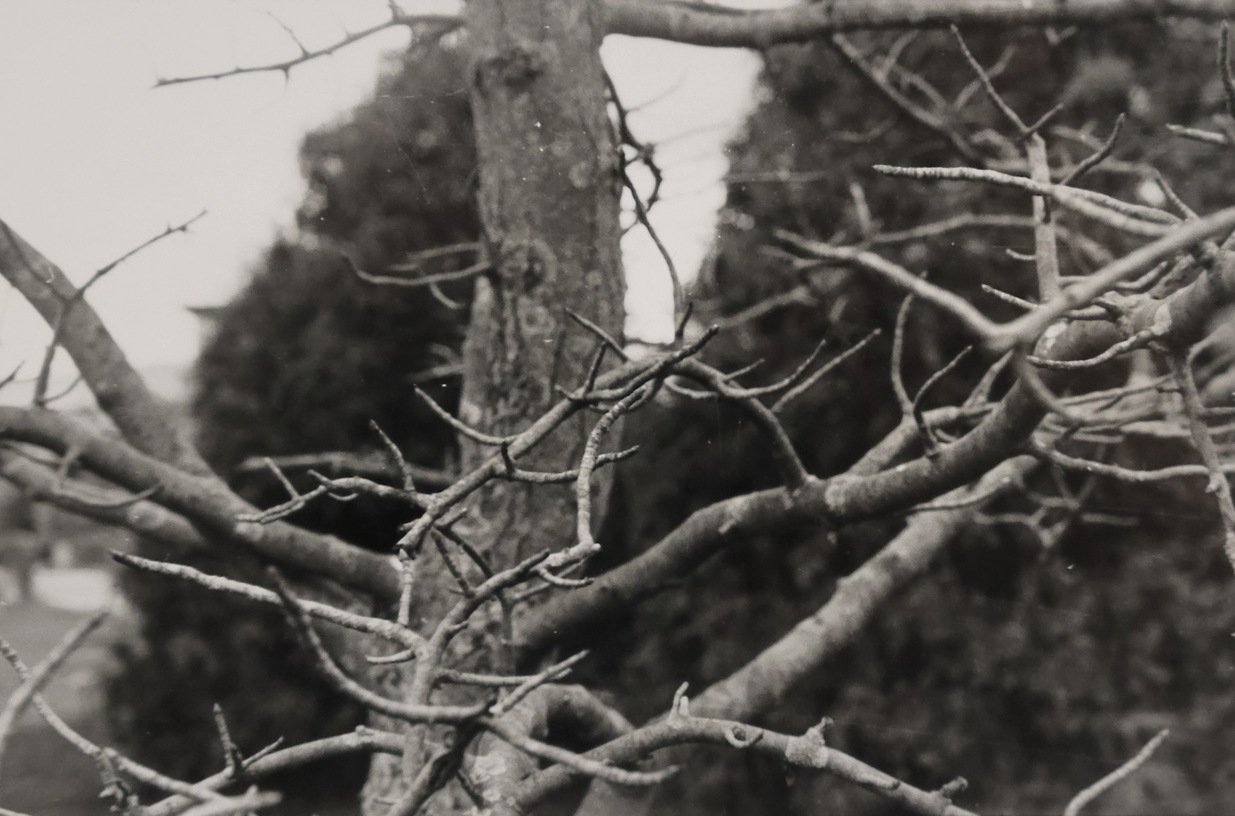 Photo by Sinclair Fine Art Student