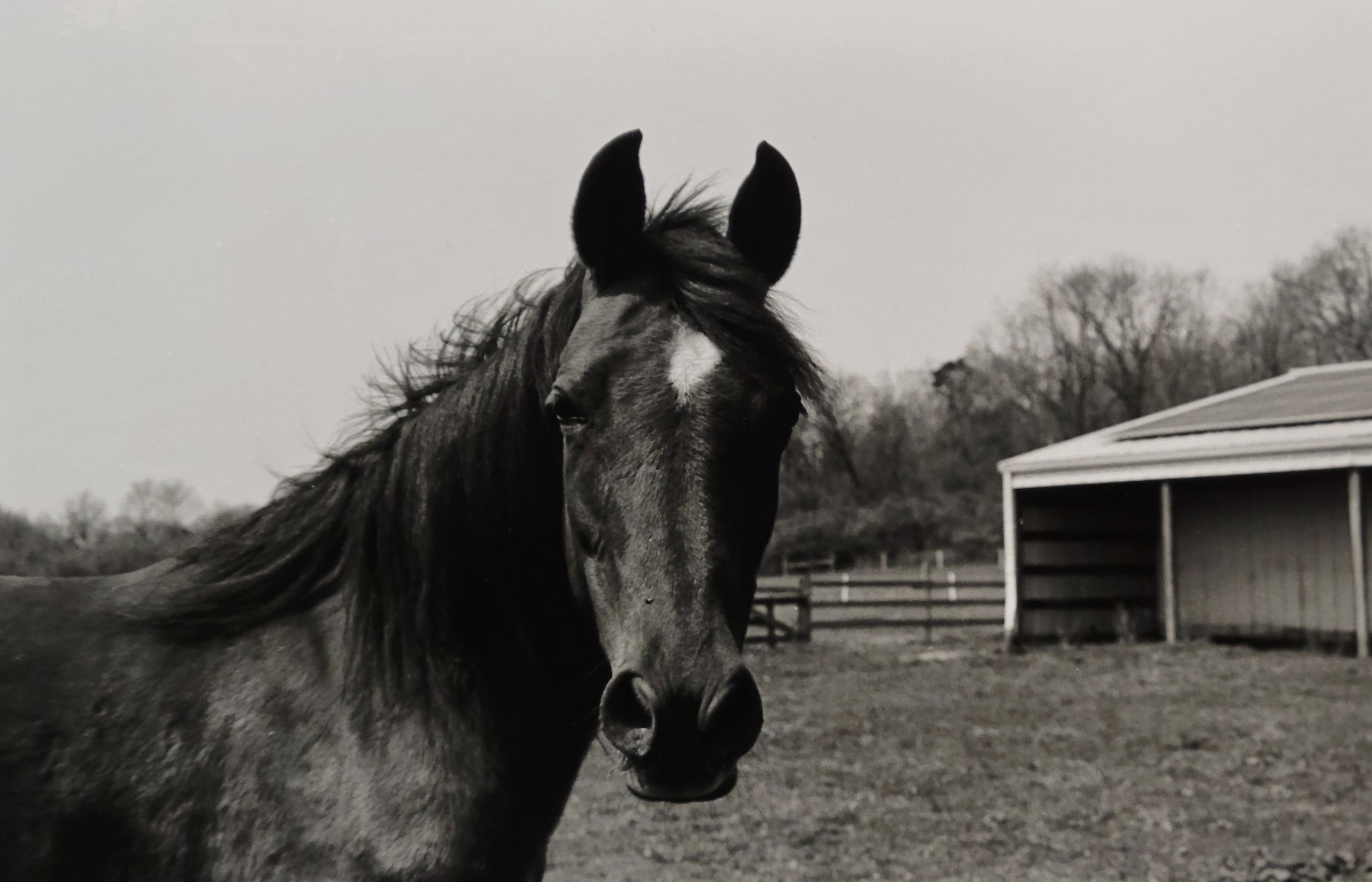 Photo by Sinclair Fine Art Student