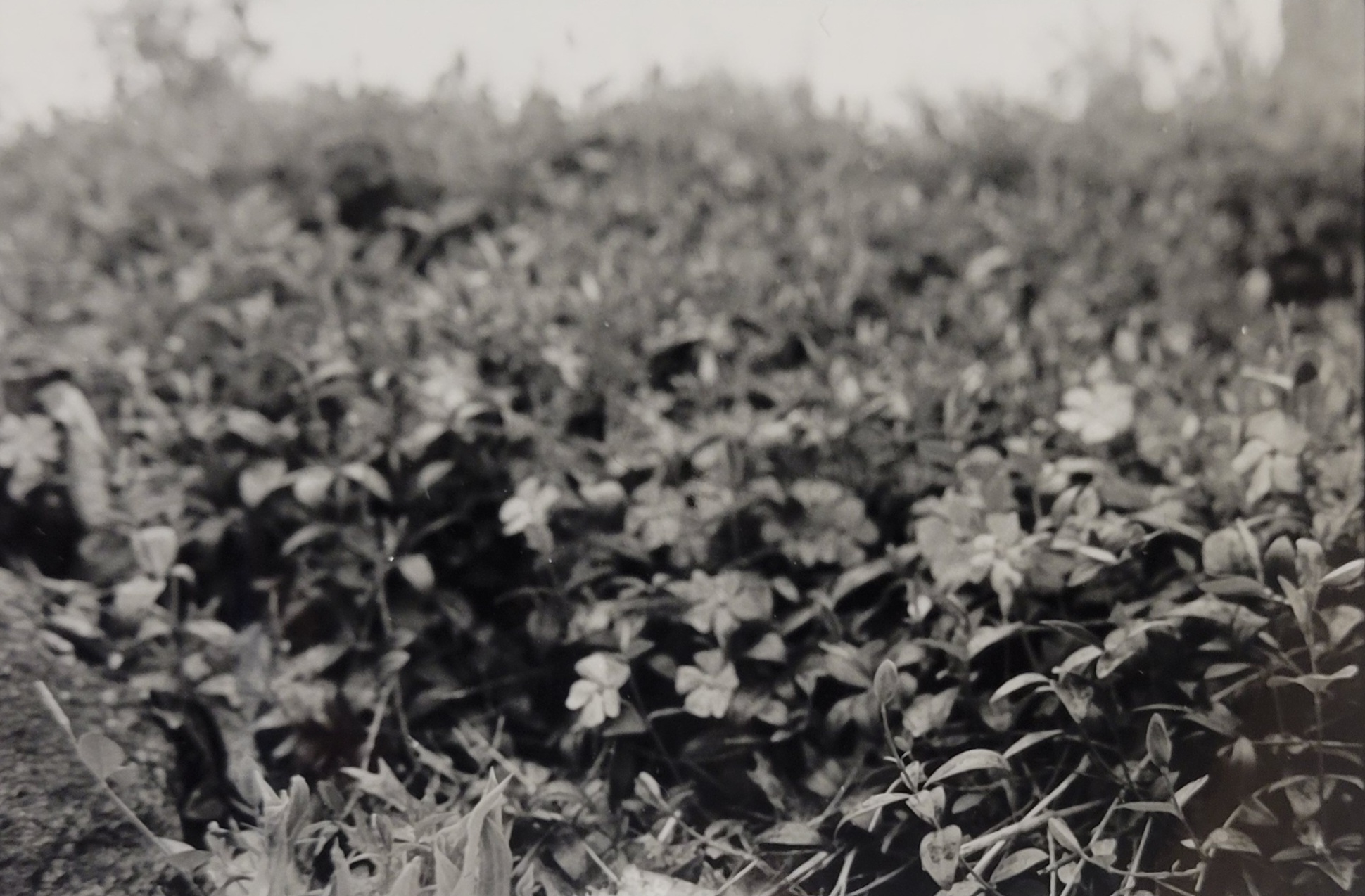 Photo by Sinclair Fine Art Student