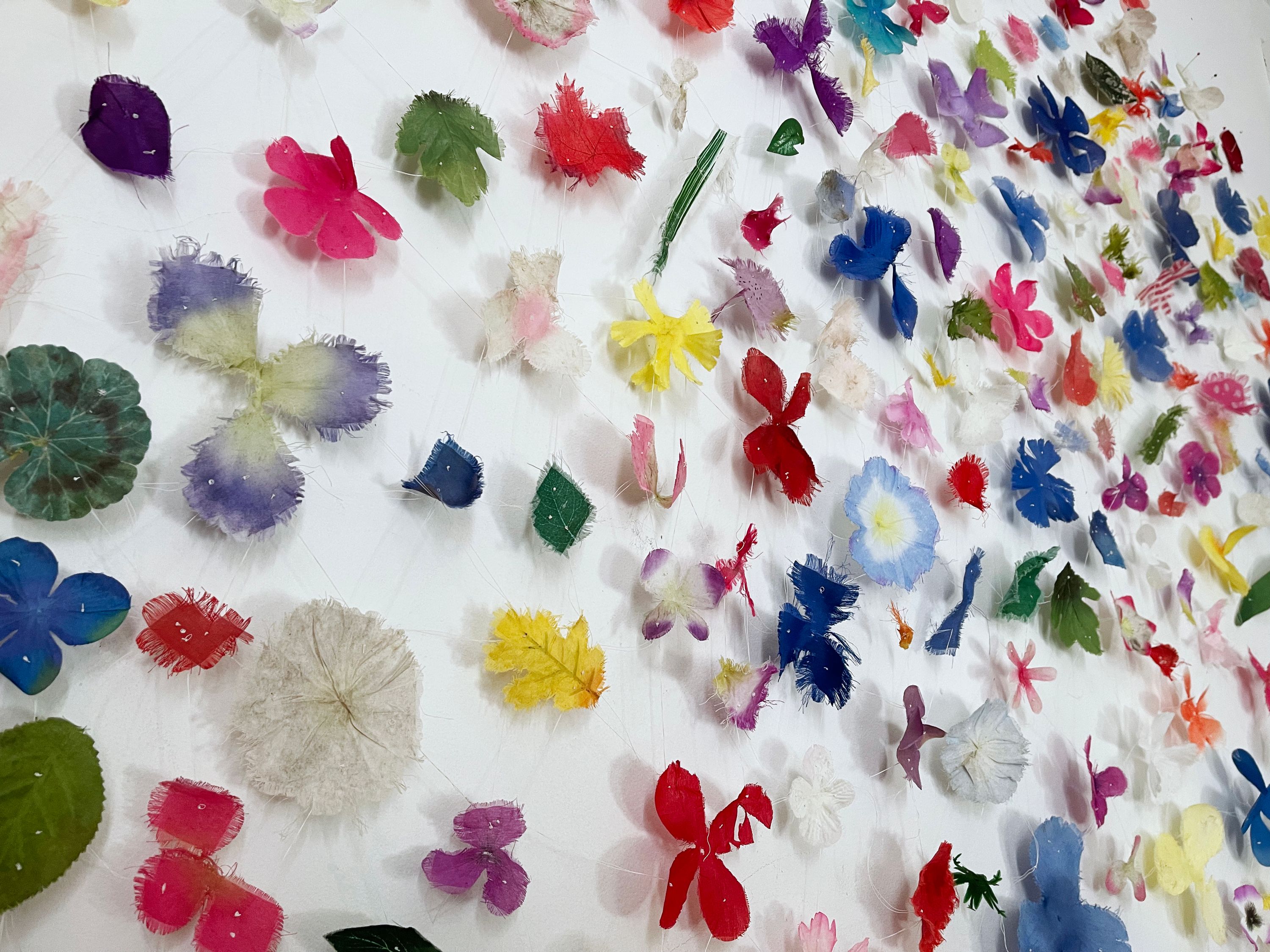 Artwork by Bridgette Bogle