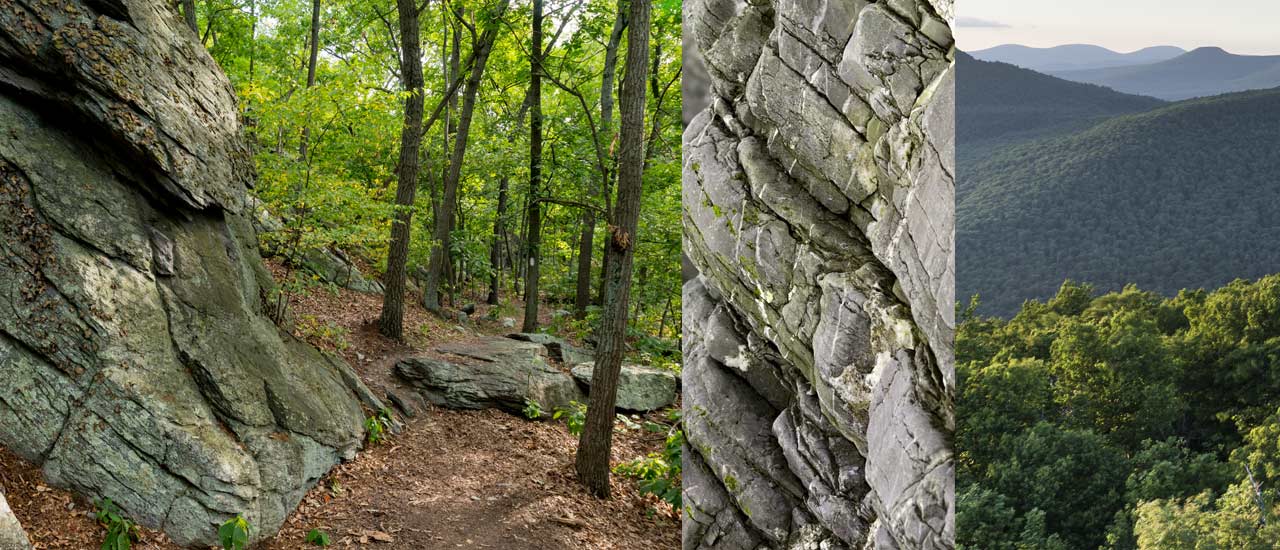 Observing and interpreting the building of the Appalachian Mountains and the geological development of Ohio.